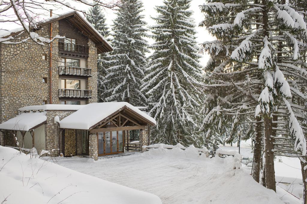 Ana Hotels Bradul Poiana Brašov Exteriér fotografie
